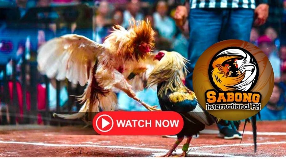 100 free bonus casino